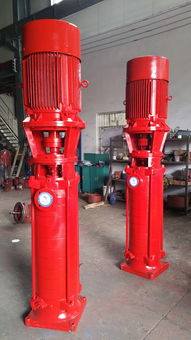 立式多級泵工作原理 公司動態 永嘉縣大西洋泵業制造