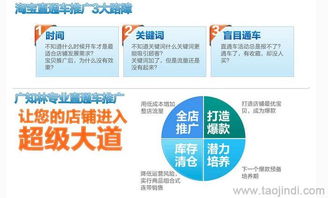天貓店鋪推廣與運營全攻略 裝修、拍照、產品描述與軟件開發價格解析