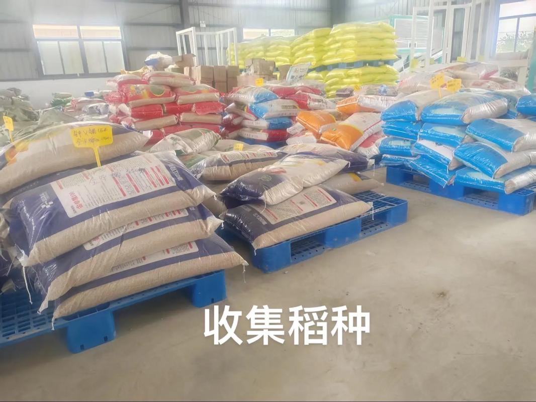 柏林鄉現代化育秧中心 科技賦能，開啟農業生產新篇章